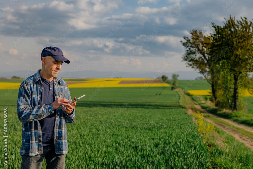 Successful Agronomist Touching Wheat Crops and Examining Agriculture Field Successful Agronomist Touching Wheat Crops and Examining Agriculture Field