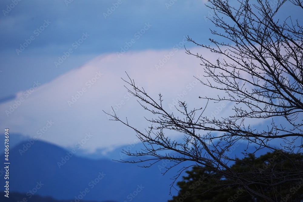 Silhouette image of tree branches in winter. Silhouette image of tree branches in winter.