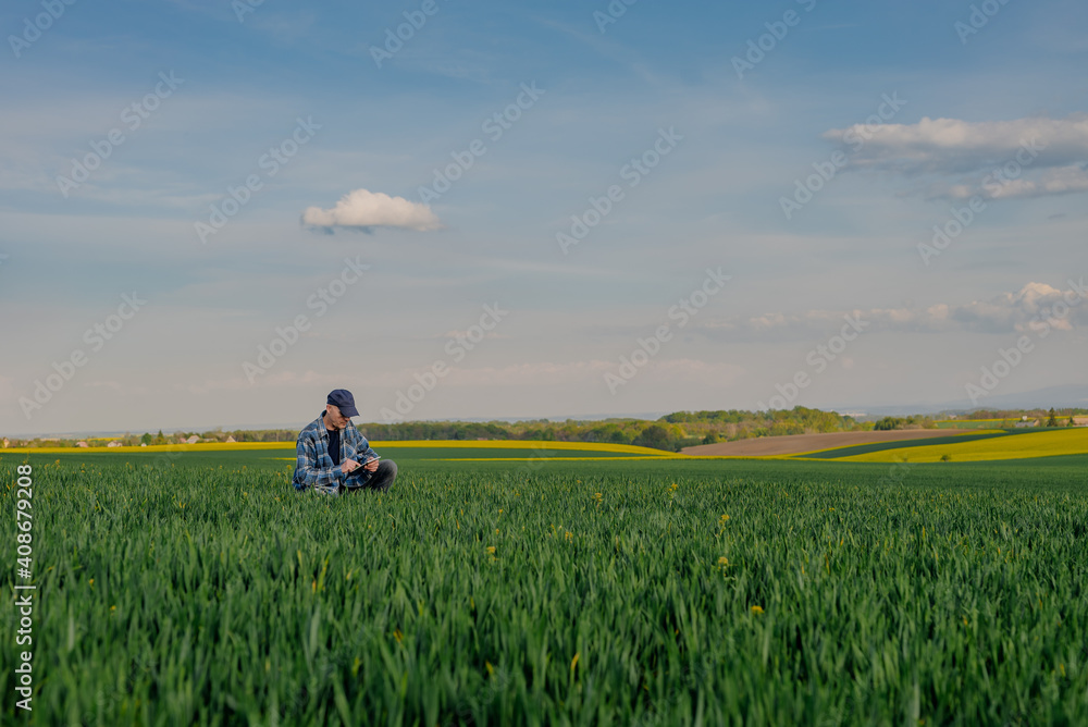 Portrait of Successful Farmer Examining Crops at Agriculture Field. Farmer Looking at Crops Wheat Field Portrait of Successful Farmer Examining Crops at Agriculture Field. Farmer Looking at Crops Wheat Field