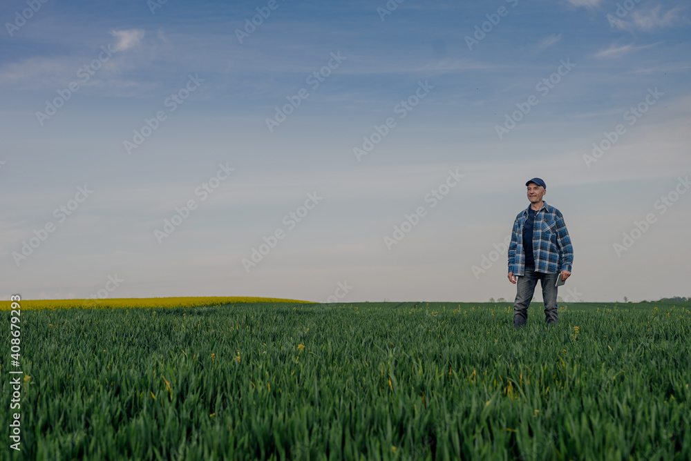 Portrait of Successful Farmer Examining Crops at Agriculture Field. Farmer Looking at Crops Wheat Field