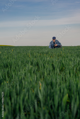 Portrait of Successful Farmer Examining Crops at Agriculture Field. Farmer Looking at Crops Wheat Field