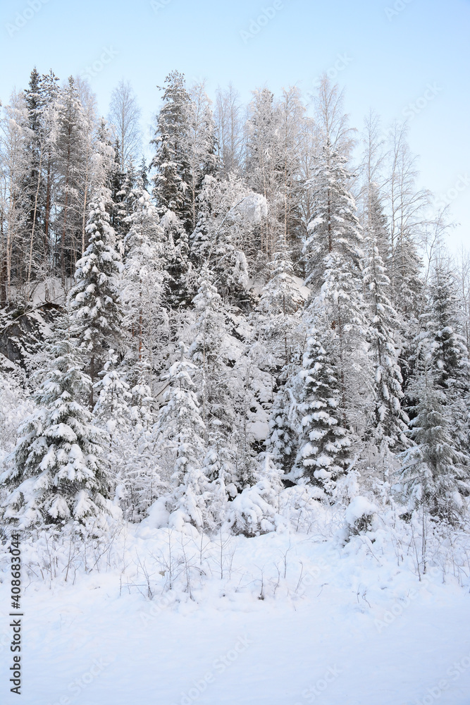 Winter forest view in Ruskeala mountain park in Republic of Karelia Winter forest view in Ruskeala mountain park in Republic of Karelia