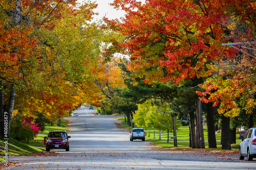 Colorful autumn trees on Stark st in Wausau, Wisconsin