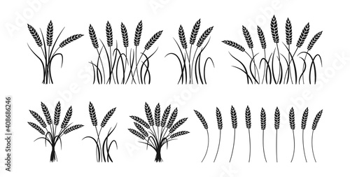 Wheat ears cartoon black silhouette set. Sheaf, bunch grain ripe collection, agricultural symbol flour production. Design organic farm elements, organic vegetarian bread packaging beer label vector