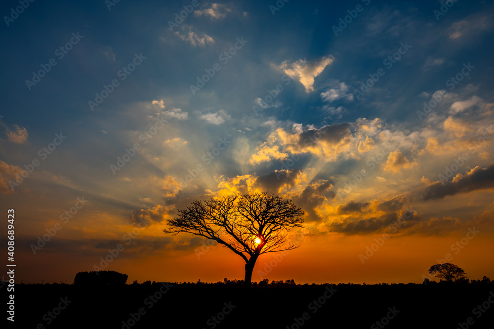 sun behind dark tree and sunset in tropical forest,Thailand,ASIA.