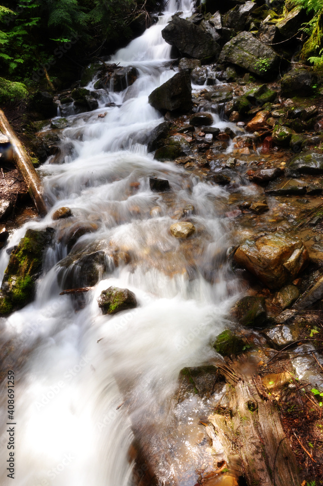 Sunny Stream