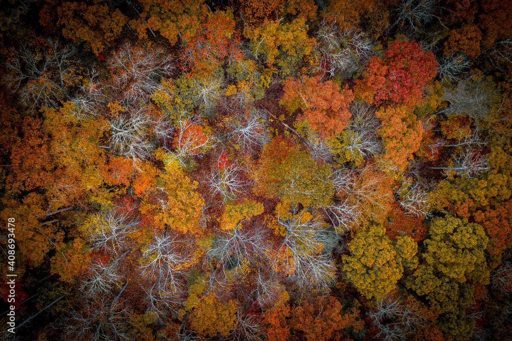 fall drone shots