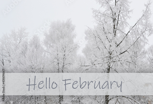 Hello February wallpaper, winter landscape in frozen forest. Winter background