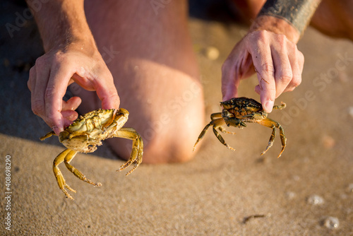 Close-up and selective focus on red sand crab at Tanjong Lobang beach, Miri, Sarawak, Borneo photo
