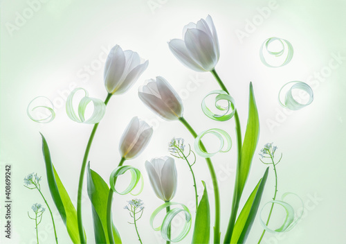 white spring flowers