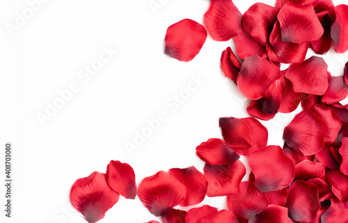 Pretty red petals on a white background