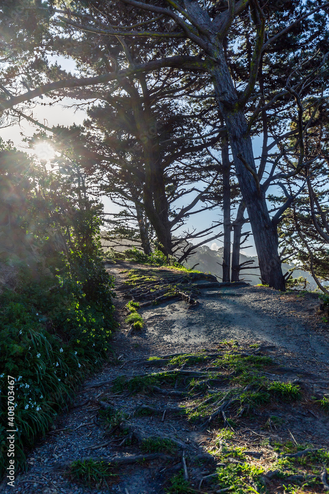Naklejka premium Path to Fort Dorset in Wellington, New Zealand