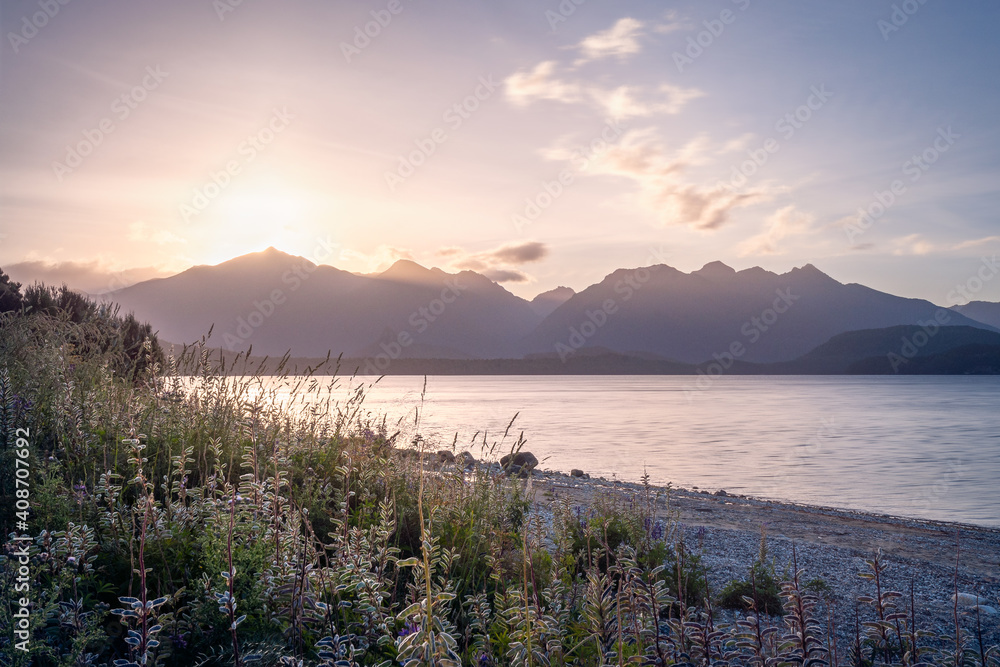 Beautiful sunset light behind the mountain in the distance and backlit flowers and grasses in the foreground on the shore at Lake Te Anau in Fiordland National Park, New Zealand, South Island.