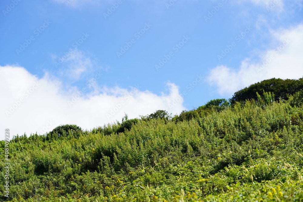 伊吹山