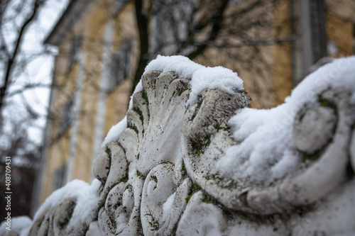 Rough Green Mold Texture in the snow, fence. photo