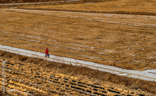 Person walking on snow covered path beside field