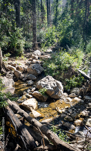 Quiet boulder filled stream of the Uinta National Forest in Utah