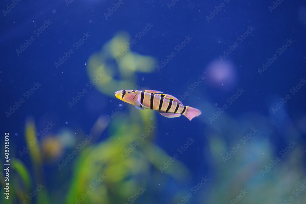 水族館