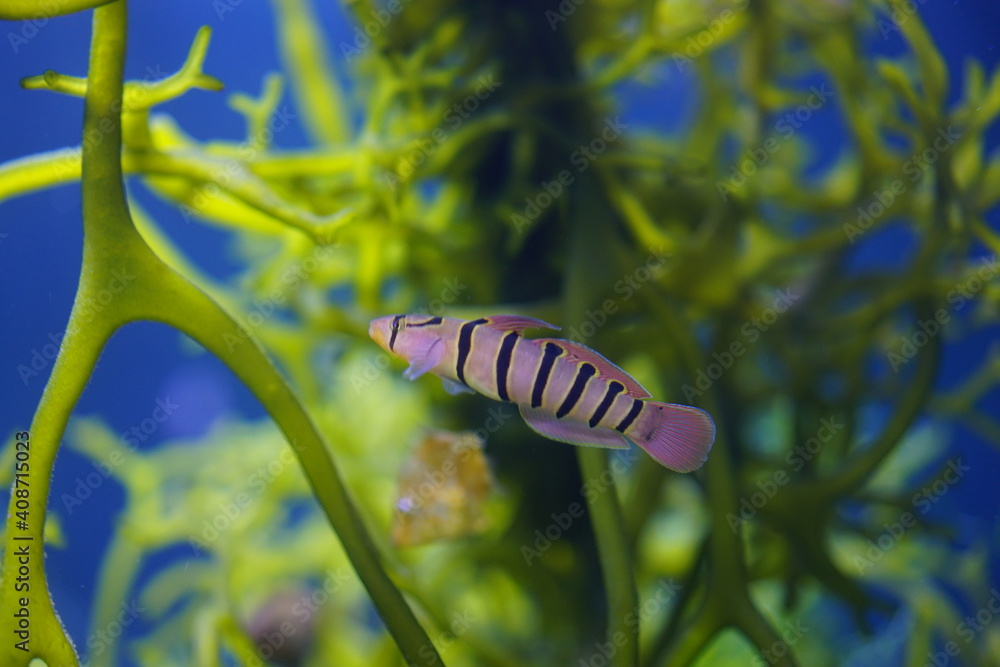 水族館