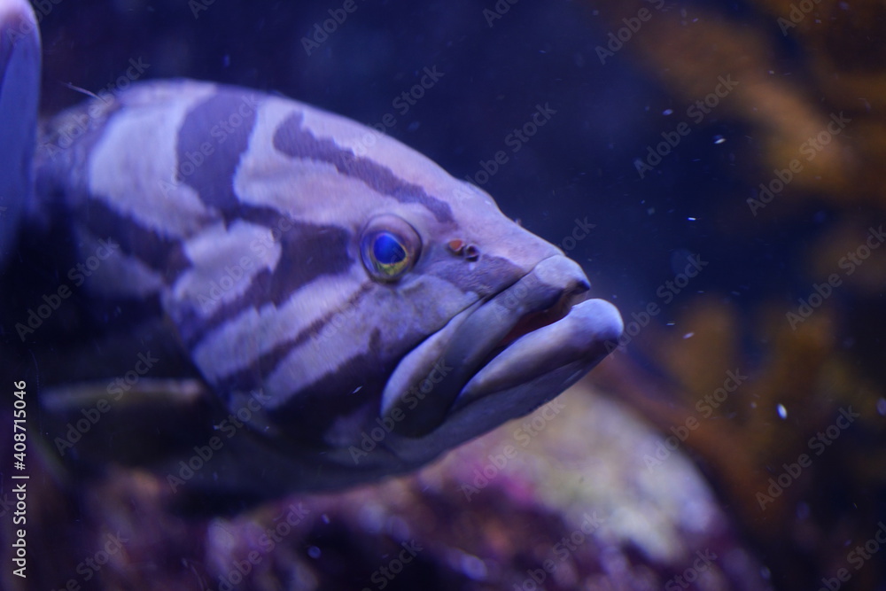 水族館