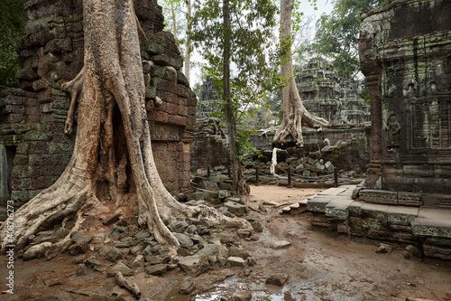 Angkor Wat Cambodaia 