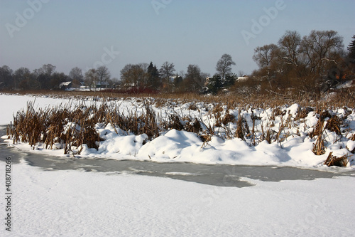 Winter sunny day. The lake was held down by ice. Ice and dry plants are covered with white snow. In the distance among trees the village is seen.