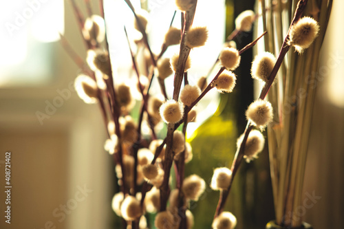 The beautiful easter composition of the willow branches  glass vase  glass bottles and ceramic objects opposite the sunny window. Closeup easter background with the selective focus.