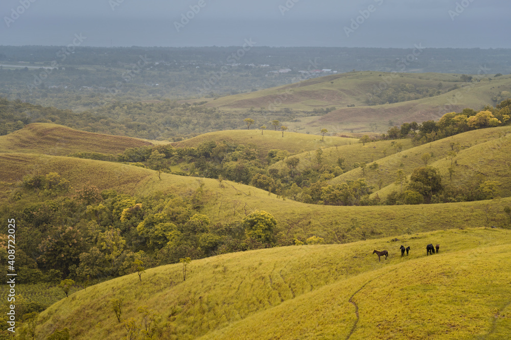 Sumba Indonesia - savana landscape in the hills