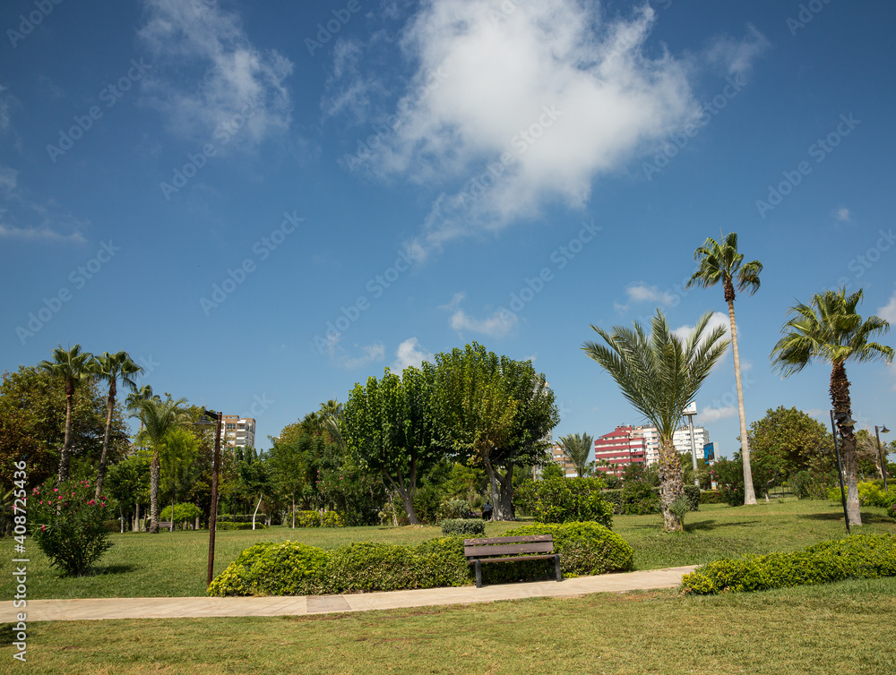 View to park with grass and trees on sunny day