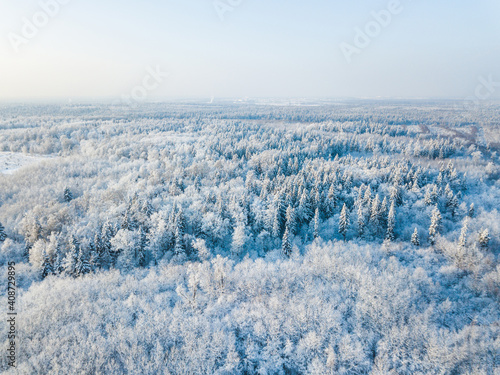 Snow in forest. Moscow region landscape. Aerial view