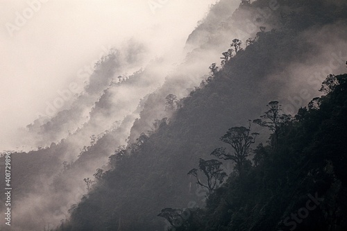 Fog rising from the forest on mountainous landscape, Maoke Mountains, Irian Jaya, New Guinea, Indonesia photo