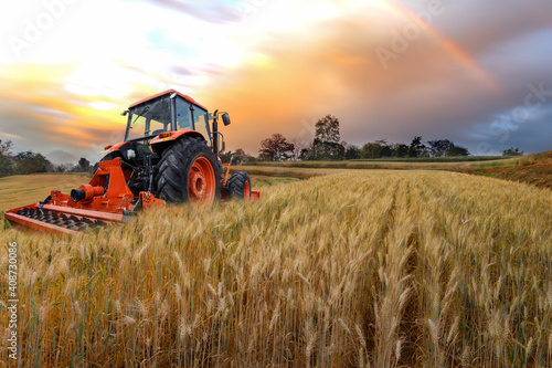 Tractor working on the rice fileds barley farm at sunset time, modern agricultural transport. 