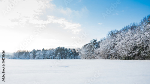 Verschneiter weißer Wald mit Wiese im Vordergrund © brodehl