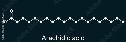 Arachidic acid, eicosanoic, icosanoic acid molecule. It is saturated long-chain fatty acid. Skeletal chemical formula on the dark blue background photo