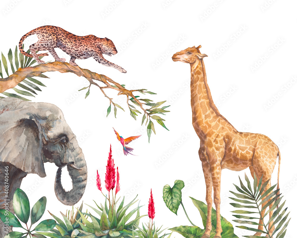 Safari wildlife wallpaper. Illustration with elephant, leopard and giraffe.  Watercolor animal and jungle flora on white background. Stock Illustration  | Adobe Stock