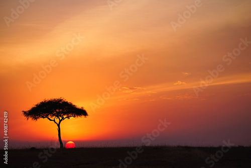 A beautiful view of the Masai Mara at sunset. Romantic atmosphere. Large numbers of animals migrate to the Masai Mara National Wildlife Refuge in Kenya  Africa. 2016.