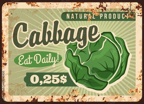 Cabbage rusty metal vector plate. Green cabbage head. Natural vegetables seeds shop, organic and healthy food grocery store retro banner or poster with farm ripe product and rust texture