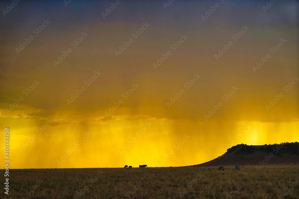 Unique orange cloud and fog landscape. Many animals on the grassland. Large numbers of animals migrate to the Masai Mara National Wildlife Refuge in Kenya, Africa. 2016.