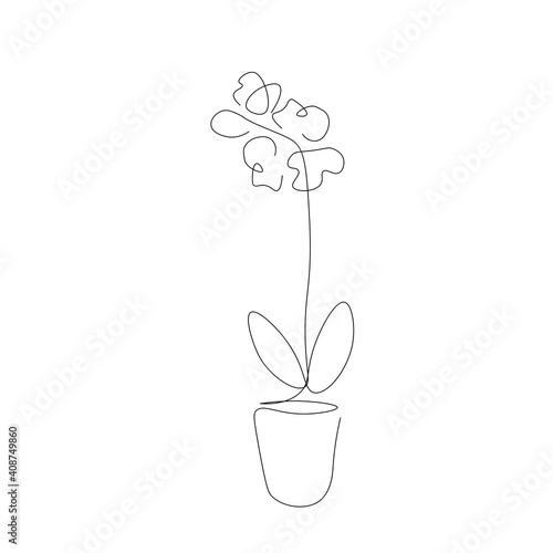 Flower orchid in pot line drawing, vector illustration