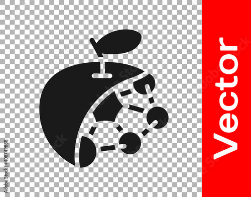 Black Biological structure icon isolated on transparent background. Genetically modified organism and food. Vector.