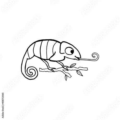 Chameleon isolated on white. Cartoon character. Hand drawn outline illustration, coloring page, monochrome. Vector doodle sketch for kids, baby. Childrens drawings for packaging, textiles, fabric