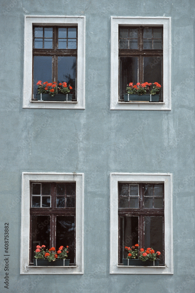 Blumenfenster in Stadthaus