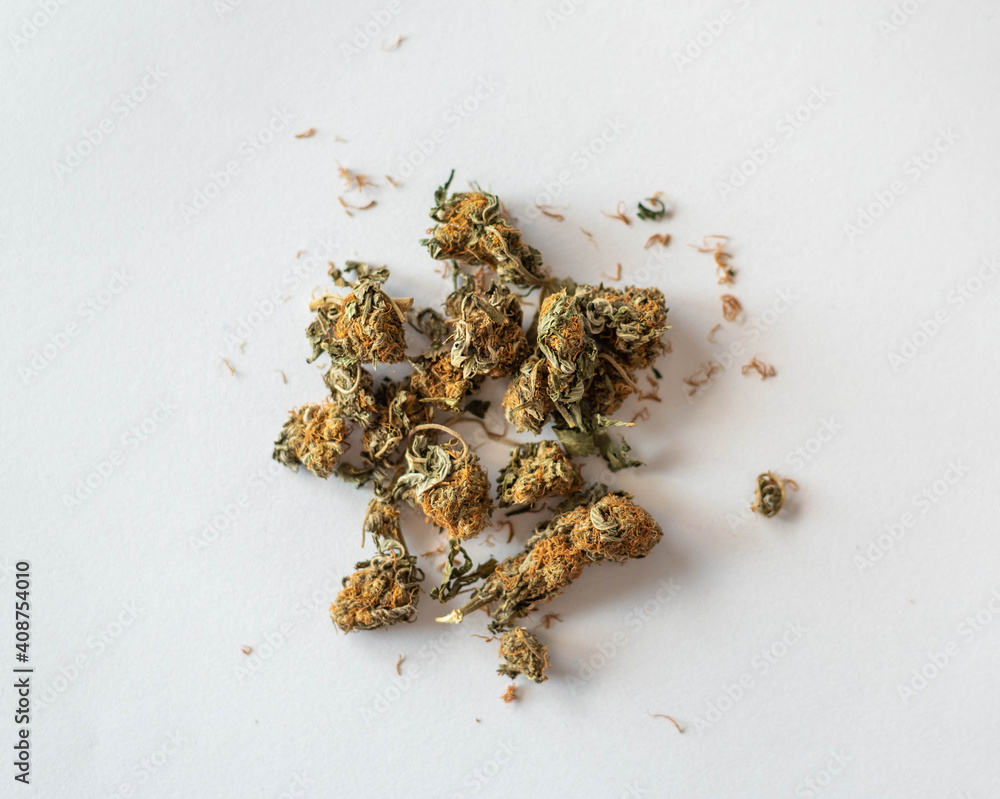 Flower bud cannabis, marijuana, weed, drug for medical use Flower bud cannabis, marijuana, weed, drug for medical use