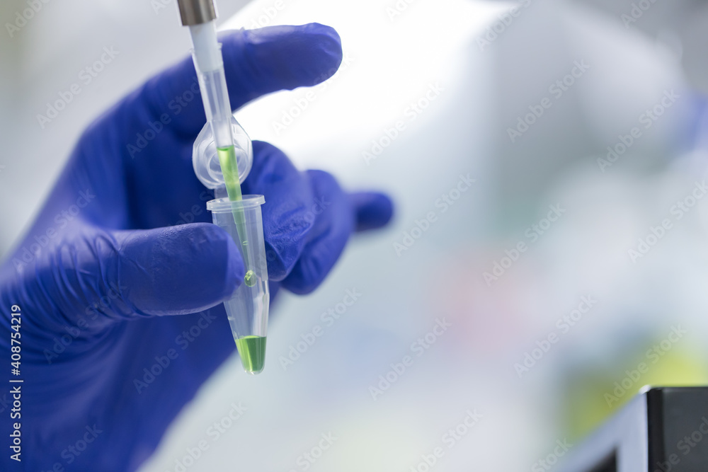Scientist pepetting solution to dialysis tibe. Scientist pepetting solution to dialysis tibe.