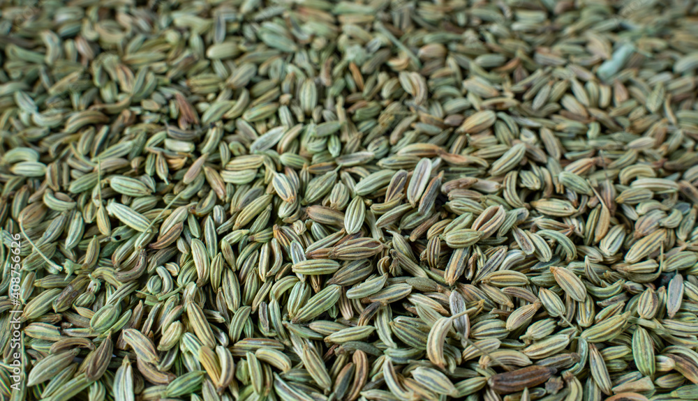 Fennel as a background close up. Fennel as a background close up.
