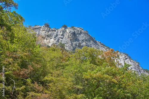 mountain views in greenery, green hills