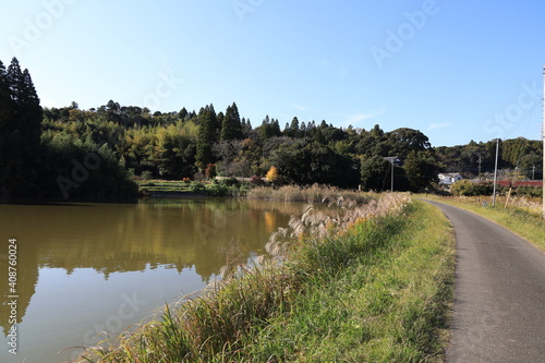 Wallpaper Mural 池と田舎の風景 Torontodigital.ca