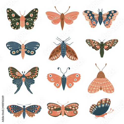Hand drawn moths . Colorful set of insects isolated on white