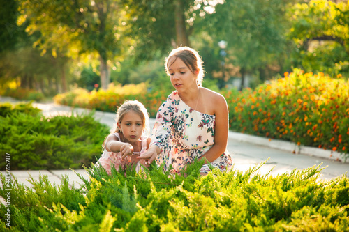 Two adorable sisters are looking at a large green bush and enjoying a warm summer sunny day in the beautiful park
