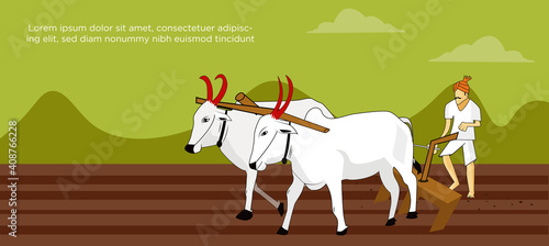 Farmer plouging the field with two cattle